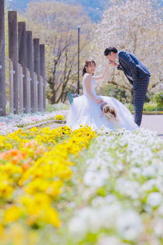 桜・お花畑の撮影データ続々と(^^)/