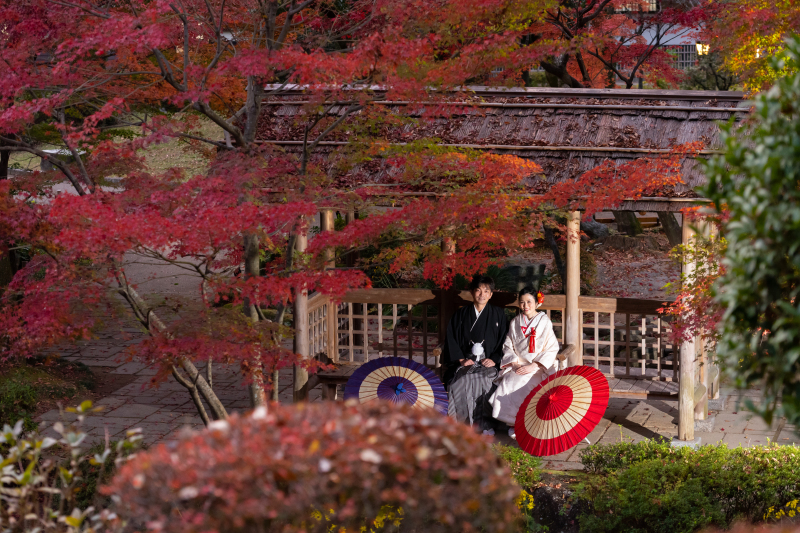 紅葉フォトの空き状況です(^^)/