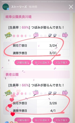 桜、まだまだ咲かない、、、!