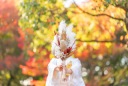紅葉フォト「空き状況」の最新情報です!