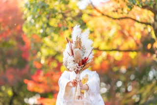 紅葉フォト「空き状況」の最新情報です!