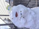 ~結婚式をされないお二人へ~ チャペル&料亭フォト