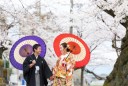 sakura・サクラ・さくら・もう本当に桜がキレイ!!
