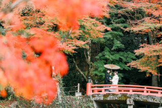 ~11月の平日まだ空いております~