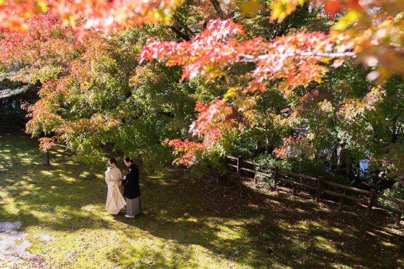 紅葉ロケ！絶賛承り中です(^^)/