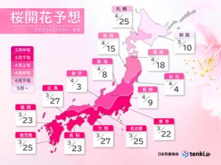 【最新】桜開花予測2025年 in GIFU