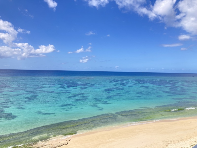 【沖縄出張　第3弾　行ってきました】11/5～11/7