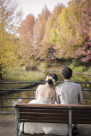 今年の紅葉撮影の一部をご紹介~(^^)/