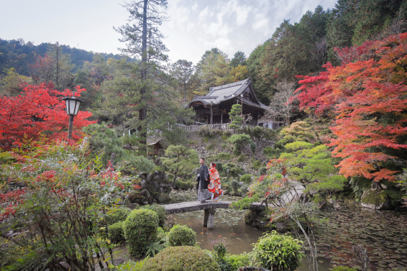 ～最新～　紅葉空き状況