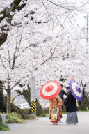 ”桜フォト”絶賛ご予約承り中です~♪