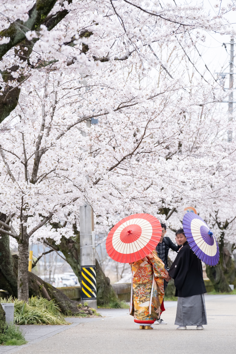 ”桜フォト”絶賛ご予約承り中です～♪