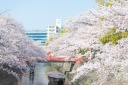 ~春フォト~ご予約スタートです(^^)