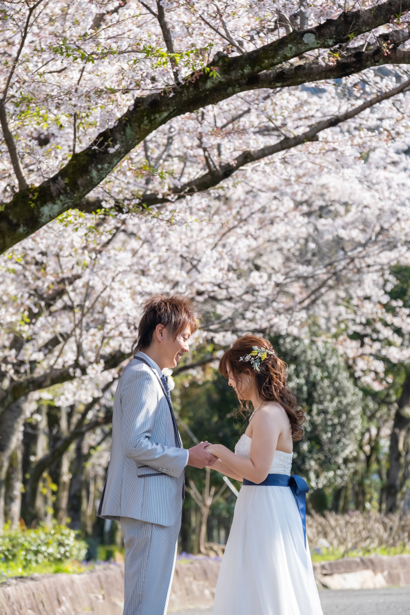 桜の開花予測がまたまた早くなりました(^^)/