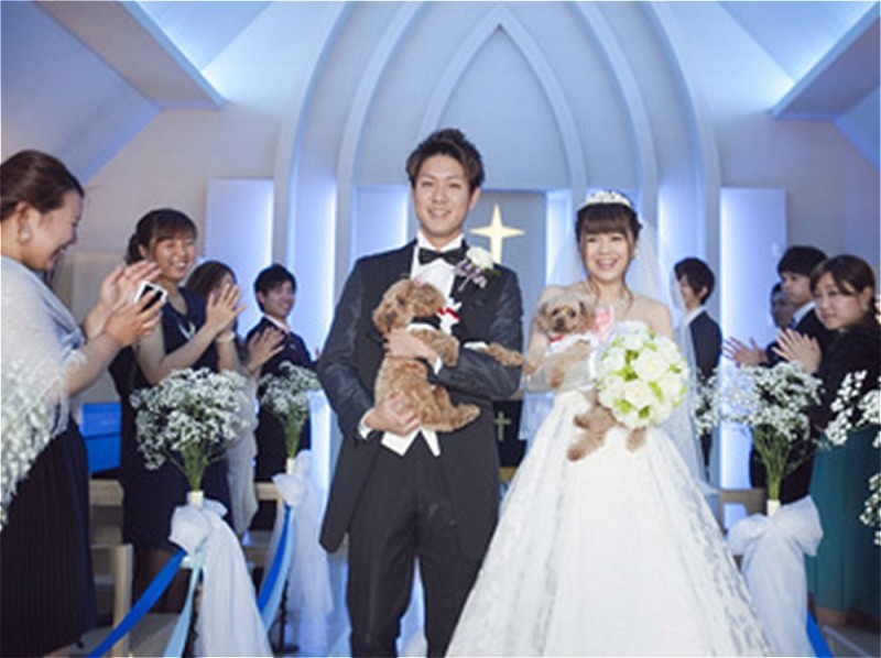 ~結婚式ができなかった方へ~