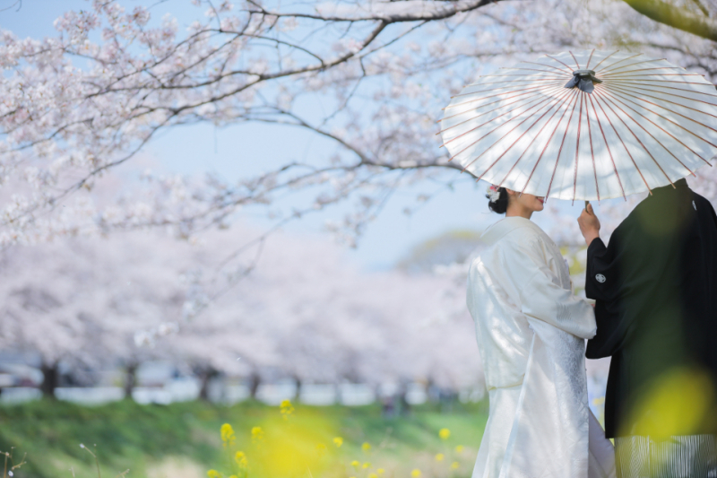 12/1～　桜フォトご予約スタートです！