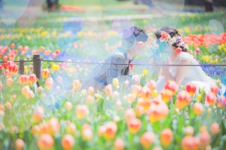 ”チューリップ&菜の花&桜”が一緒に撮れるのは、、、