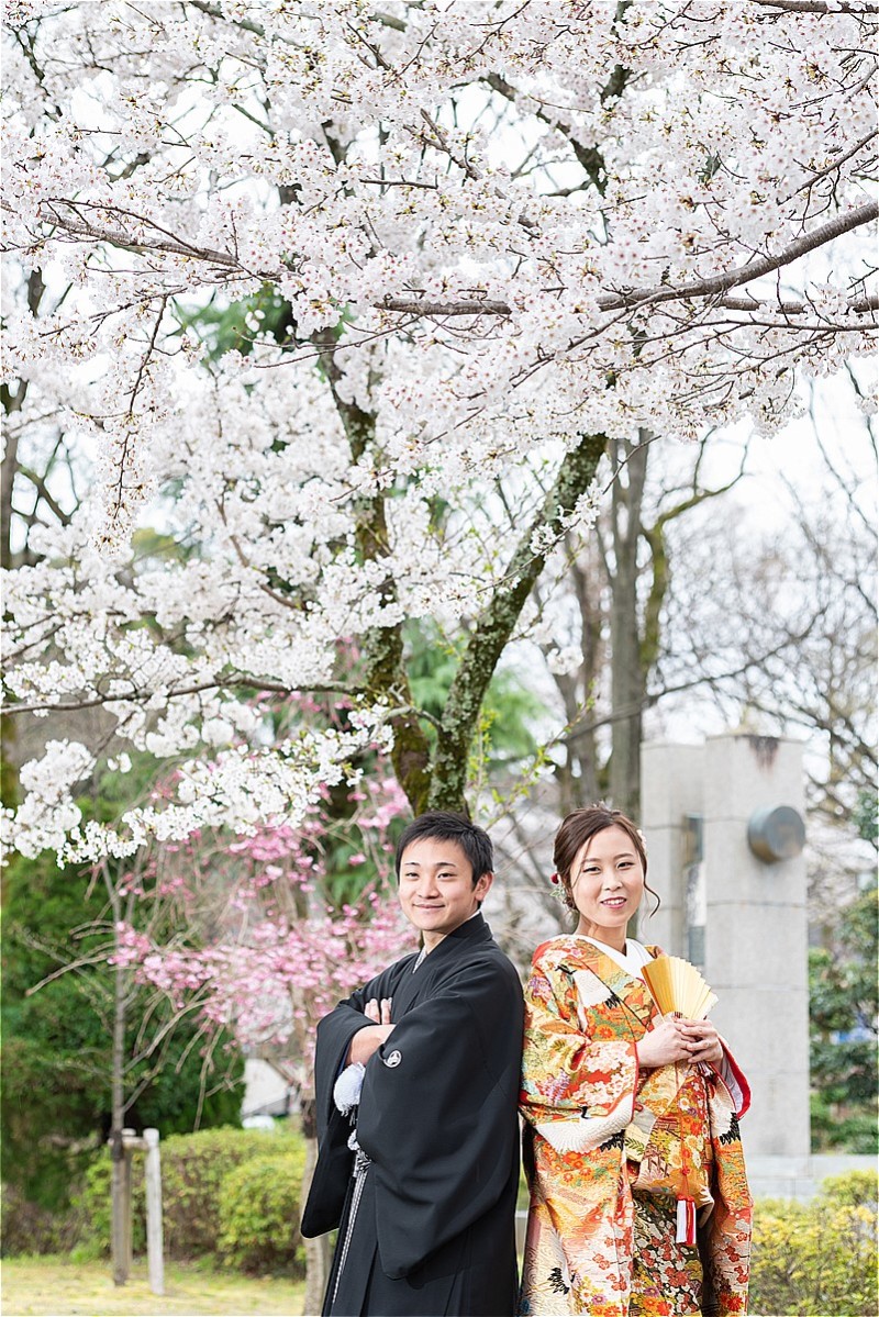 sakura・サクラ・さくら・もう本当に桜がキレイ！！