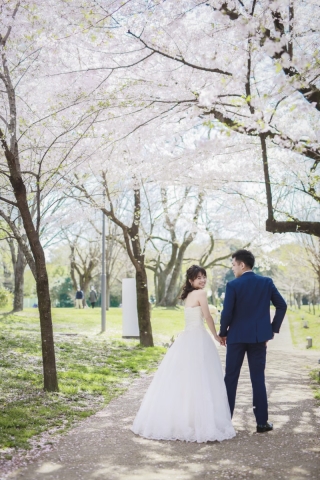 春の”桜フォト”のご予約スタートいたしました~(^^)/