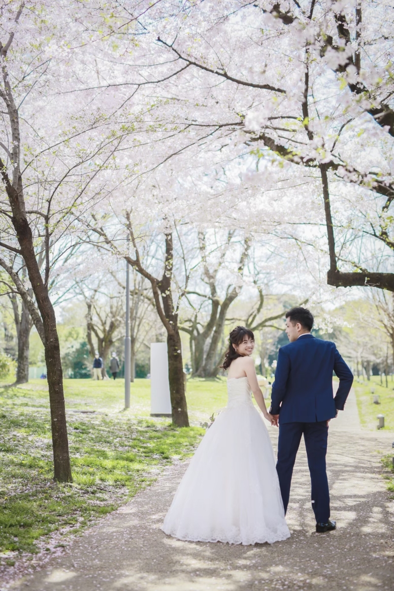 春の”桜フォト”のご予約スタートいたしました~(^^)/