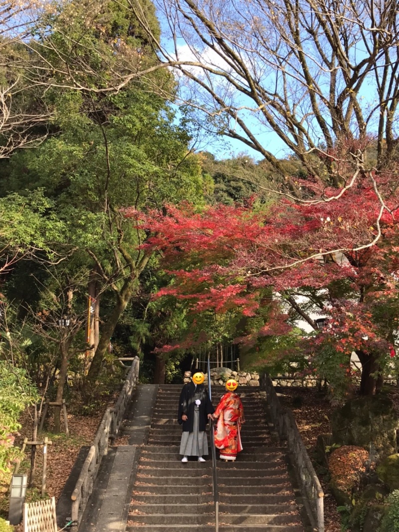 "紅葉"まだいけるよ〜(^_^)