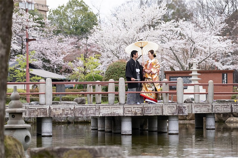 桜の開花予測～♪