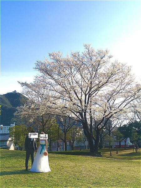 待ちにまった桜フォトですよ〜(^^)/