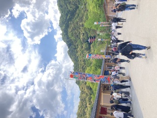 岐阜公園がすごい事になっていた、、、!