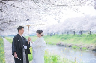 桜の開花予測~!