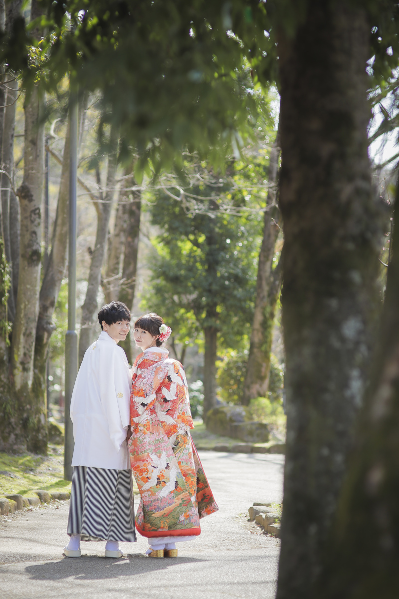 桜の開花予測～♪