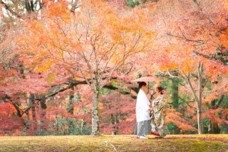 紅葉フォト「空き状況」のお知らせです!