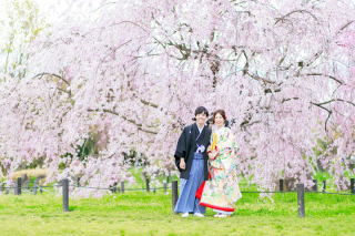 大阪・桜前撮りだより♫【桜早割実施中！】