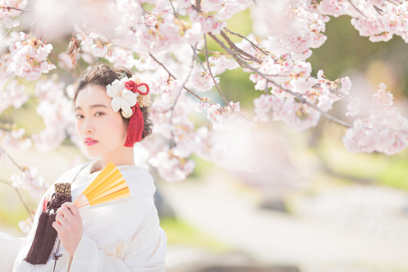 梅 ・桜の前撮り ご予約承ります♪