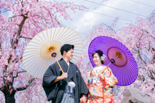 大阪 桜前撮りについて♪