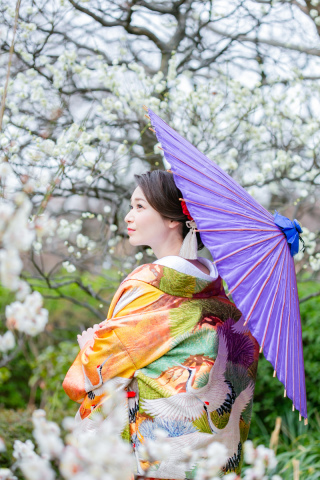 梅 ・桜の前撮り ご予約承ります♪