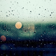 \\ Q & A //　撮影日が雨の日は？