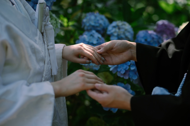 これからが見頃！紫陽花