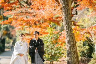 紅葉おすすめロケーション