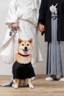 愛しのペットと一緒に撮影･:｡♡｡