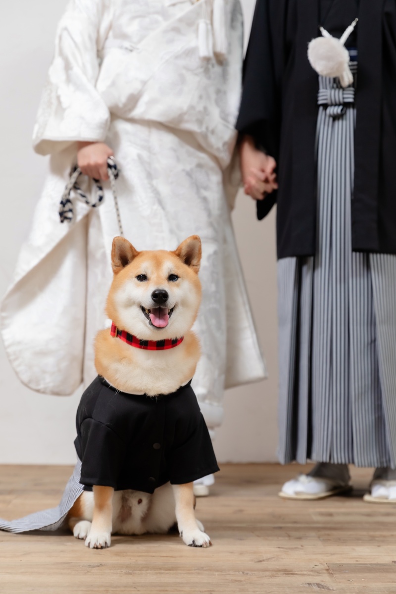愛しのペットと一緒に撮影･:｡♡｡