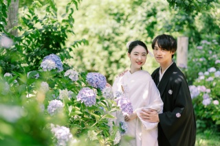 これからが見頃！紫陽花