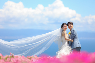 あわじ花さじき撮影風景✿✿