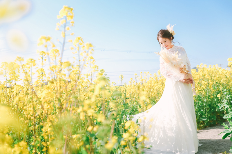 ロケ地紹介☆淡路花さじき菜の花畑