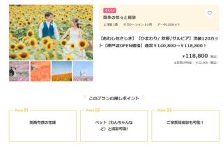 【夏限定プラン】満開のひまわり畑で残す鮮やかなロケーションフォト