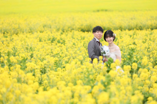 菜の花に囲まれて