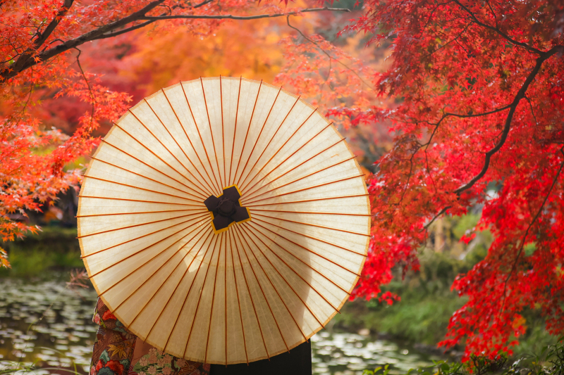 京都紅葉前撮りレポート☆