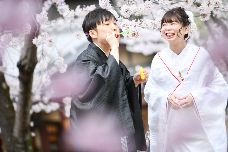 桜撮影風景の紹介✿