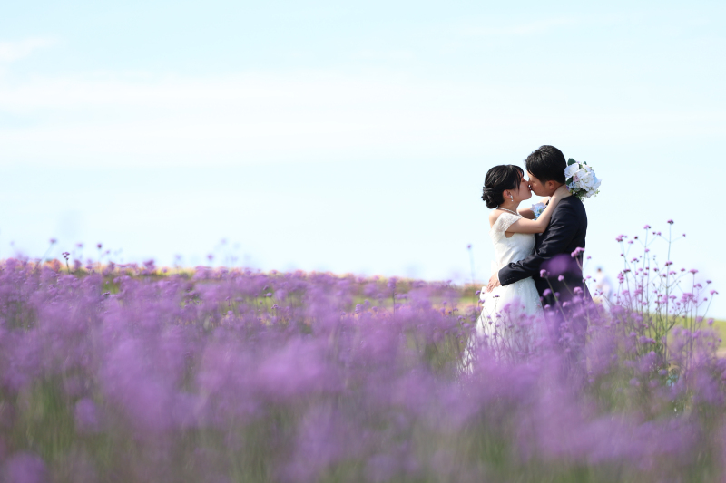 あわじ花さじき撮影