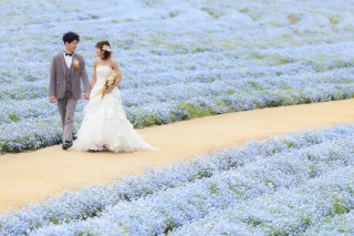 ネモフィラの中での撮影✿✿