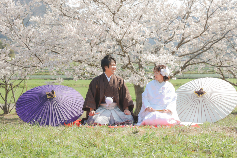 満開の桜✿✿