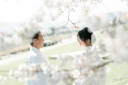 鴨川と桜♪